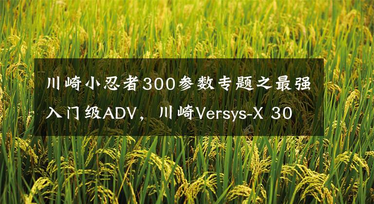 川崎小忍者300參數(shù)專題之最強入門級ADV，川崎Versys-X 300小異獸試駕評測