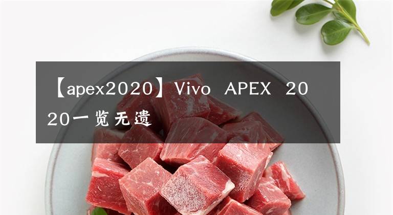 【apex2020】Vivo APEX 2020一覽無遺