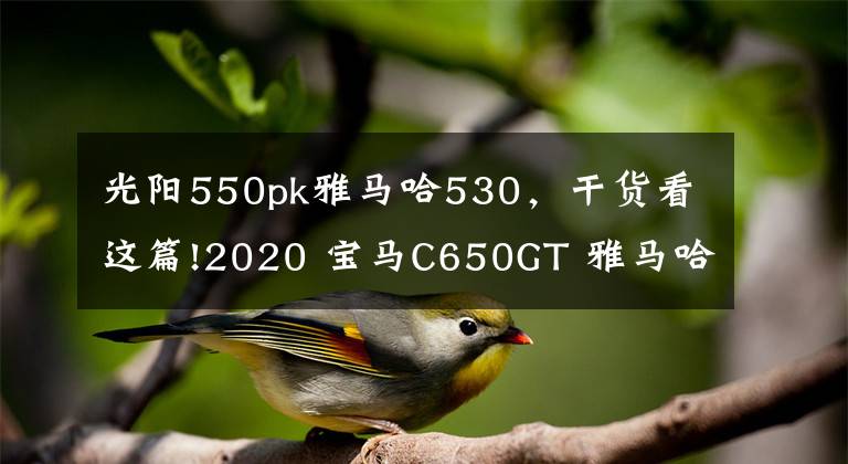 光陽550pk雅馬哈530，干貨看這篇!2020 寶馬C650GT 雅馬哈Tmax530 光陽AK550 三陽MAXSYM TL500