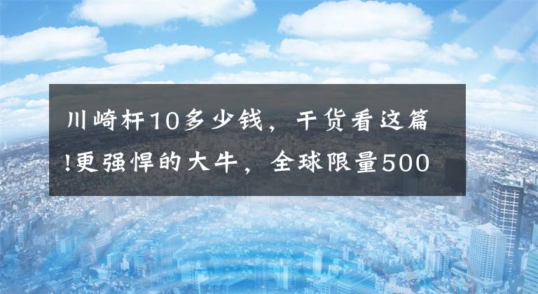 川崎桿10多少錢，干貨看這篇!更強(qiáng)悍的大牛，全球限量500臺(tái)，只為賽道而生，川崎ZX-10RR賽道版