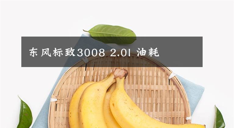 東風(fēng)標(biāo)致3008 2.0l 油耗