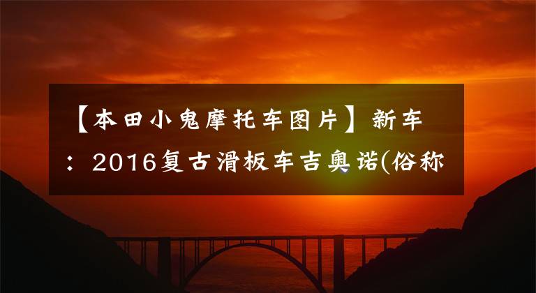 【本田小鬼摩托車圖片】新車：2016復(fù)古滑板車吉奧諾(俗稱本田烏龜)登場。