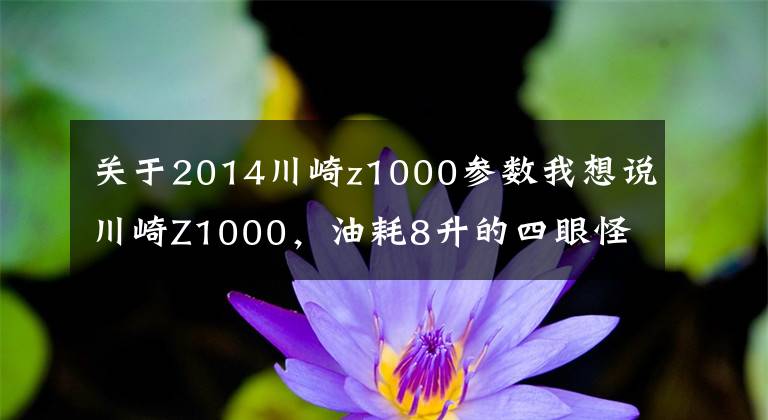 關(guān)于2014川崎z1000參數(shù)我想說川崎Z1000，油耗8升的四眼怪獸，打得過嗎？