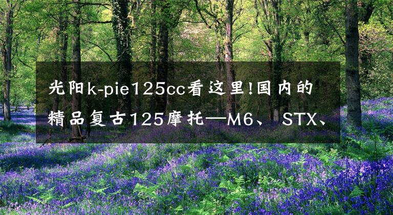 光陽k-pie125cc看這里!國內(nèi)的精品復(fù)古125摩托—M6、 STX、K-PIE