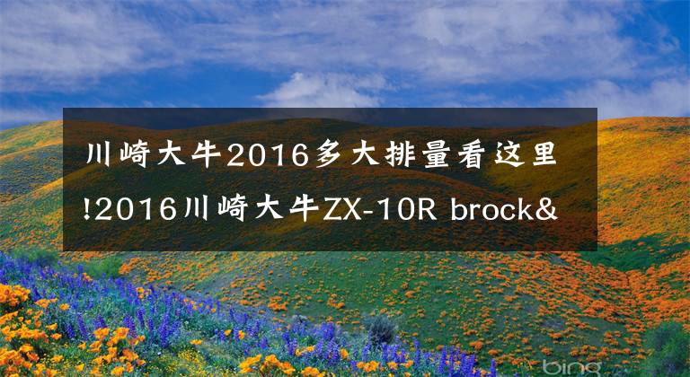 川崎大牛2016多大排量看這里!2016川崎大牛ZX-10R brock's全段排氣