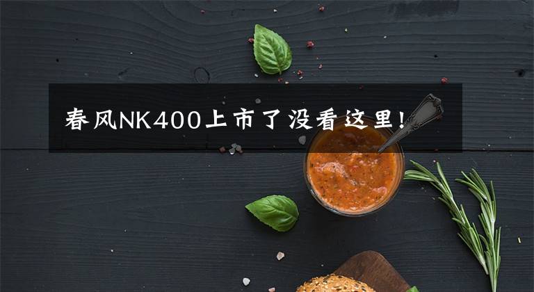 春風(fēng)NK400上市了沒看這里!