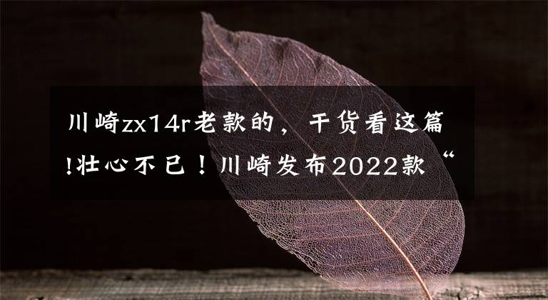 川崎zx14r老款的，干貨看這篇!壯心不已！川崎發(fā)布2022款“六眼魔神”——Ninja ZX-14R