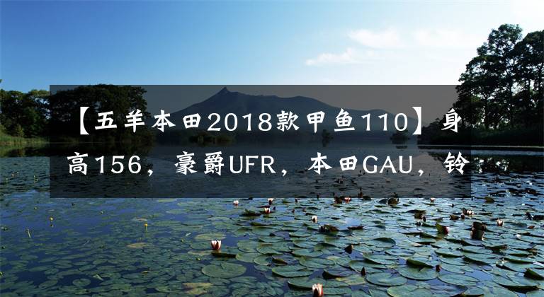 【五羊本田2018款甲魚110】身高156，豪爵UFR，本田GAU，鈴木U，山河旭鷹，怎么選？