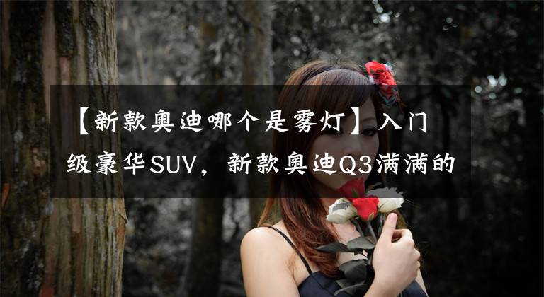 【新款奧迪哪個是霧燈】入門級豪華SUV，新款奧迪Q3滿滿的科技感，不愧是“燈廠”