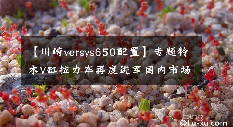 【川崎versys650配置】專題鈴木V缸拉力車再度進(jìn)軍國內(nèi)市場 全新DL650或于10月引進(jìn)