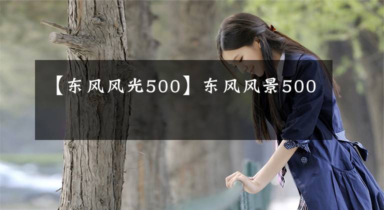 【東風(fēng)風(fēng)光500】東風(fēng)風(fēng)景500