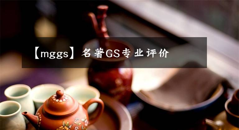 【mggs】名著GS專業(yè)評價