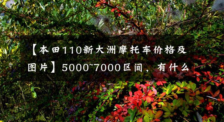 【本田110新大洲摩托車價格及圖片】5000~7000區(qū)間，有什么通道摩托車？