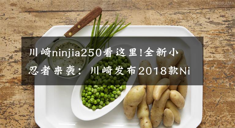 川崎ninjia250看這里!全新小忍者來襲：川崎發(fā)布2018款Ninja 250