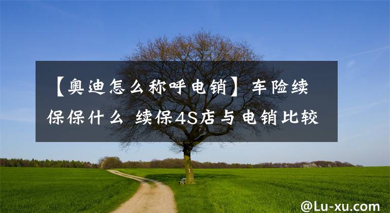 【奧迪怎么稱呼電銷】車險(xiǎn)續(xù)保保什么 續(xù)保4S店與電銷比較