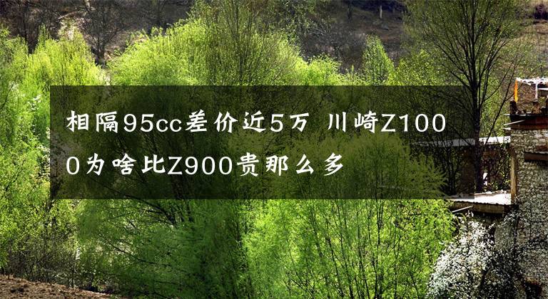 相隔95cc差價近5萬 川崎Z1000為啥比Z900貴那么多