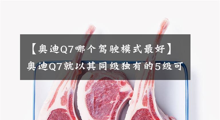 【奧迪Q7哪個駕駛模式最好】奧迪Q7就以其同級獨有的5級可調(diào)Quattr駕駛模式來提升