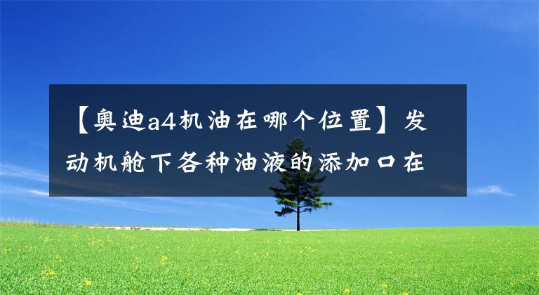 【奧迪a4機(jī)油在哪個(gè)位置】發(fā)動(dòng)機(jī)艙下各種油液的添加口在哪里？你都知道嗎？