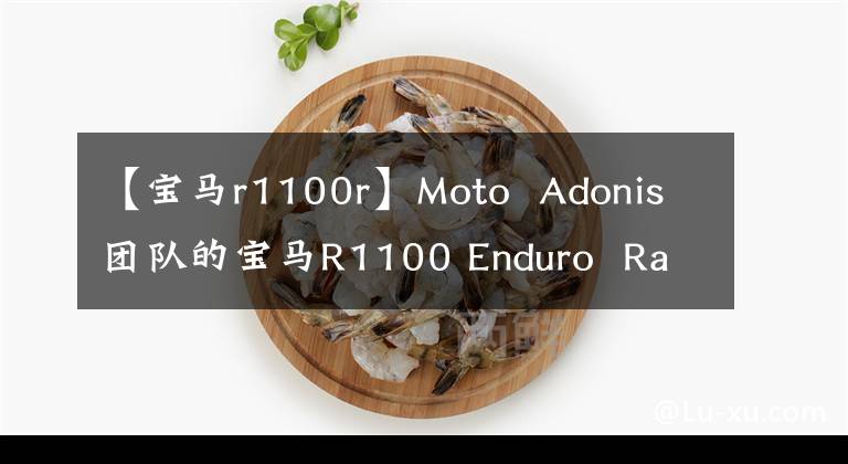 【寶馬r1100r】Moto  Adonis團(tuán)隊(duì)的寶馬R1100 Enduro  Racer