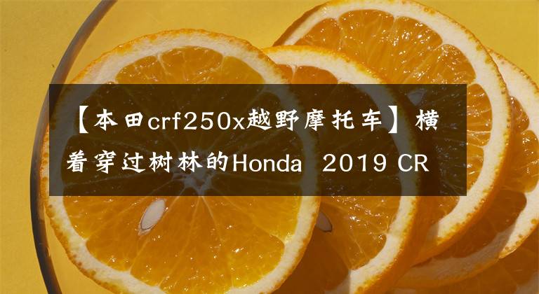 【本田crf250x越野摩托車】橫著穿過樹林的Honda 2019 CRF250RX