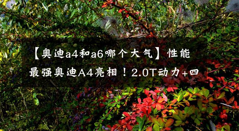 【奧迪a4和a6哪個大氣】性能最強奧迪A4亮相！2.0T動力+四驅(qū)，水泥灰車身比寶馬3系還帥氣