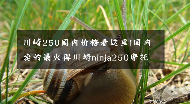 川崎250國內(nèi)價(jià)格看這里!國內(nèi)賣的最火得川崎ninja250摩托車，價(jià)格便宜，只要4.1萬元！