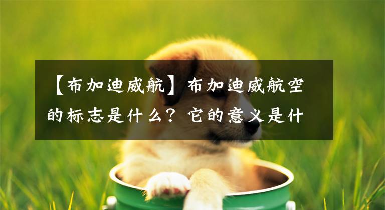 【布加迪威航】布加迪威航空的標(biāo)志是什么？它的意義是什么？