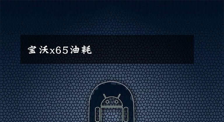 寶沃x65油耗