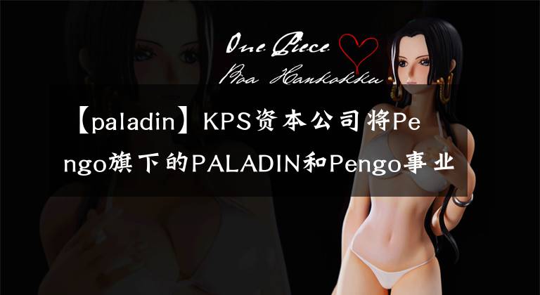 【paladin】KPS資本公司將Pengo旗下的PALADIN和Pengo事業(yè)部出售給斯坦利百德。