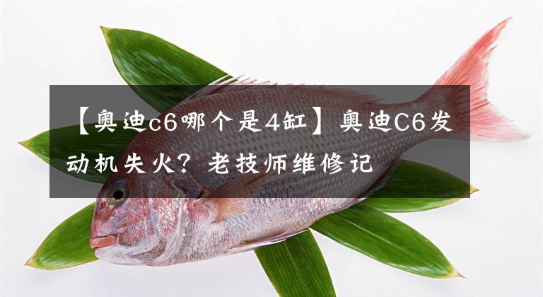 【奧迪c6哪個是4缸】奧迪C6發(fā)動機(jī)失火？老技師維修記