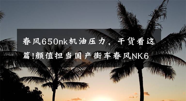 春風650nk機油壓力，干貨看這篇!顏值擔當國產(chǎn)街車春風NK650，值得入手的吸睛小鋼炮