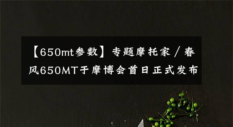 【650mt參數(shù)】專題摩托家／春風(fēng)650MT于摩博會首日正式發(fā)布！