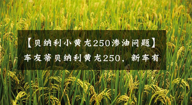 【貝納利小黃龍250滲油問題】車友蒂貝納利黃龍250，新車有問題，不坐GW也不后悔。