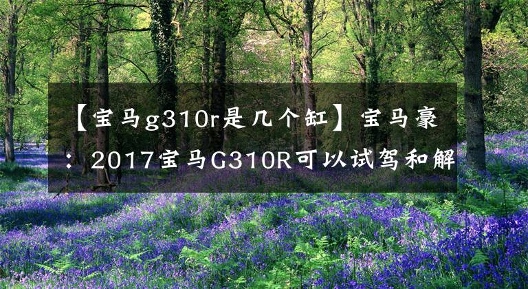 【寶馬g310r是幾個缸】寶馬豪：2017寶馬G310R可以試駕和解說嗎？