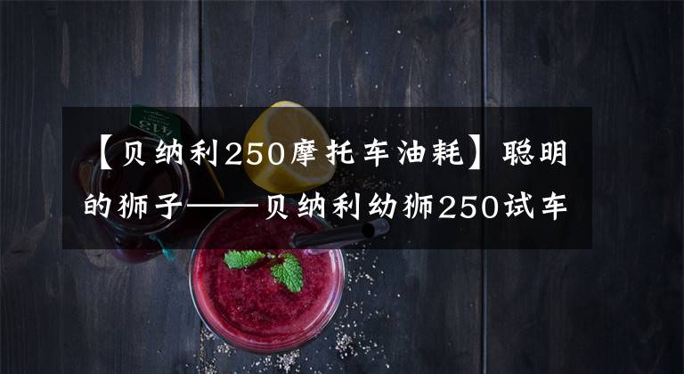 【貝納利250摩托車油耗】聰明的獅子——貝納利幼獅250試車報(bào)告