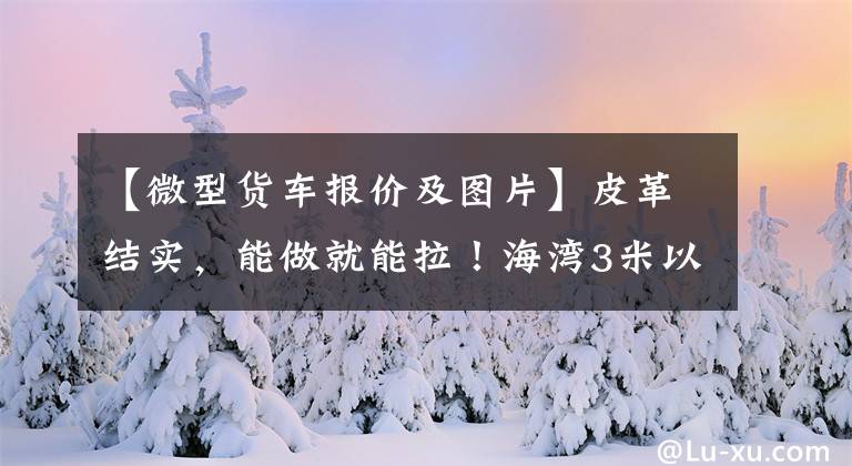 【微型貨車報價及圖片】皮革結實，能做就能拉！海灣3米以上，只有4.33萬件，將展示榮耀卡延長版