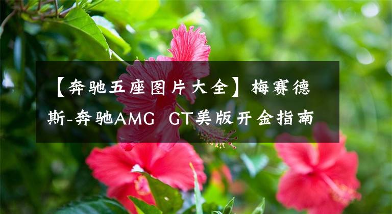 【奔馳五座圖片大全】梅賽德斯-奔馳AMG  GT美版開金指南，增加5個(gè)名次的選項(xiàng)