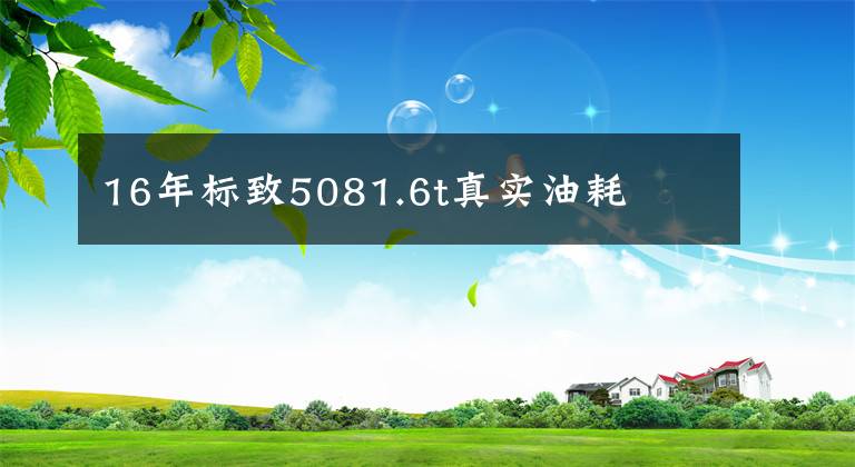 16年標(biāo)致5081.6t真實油耗