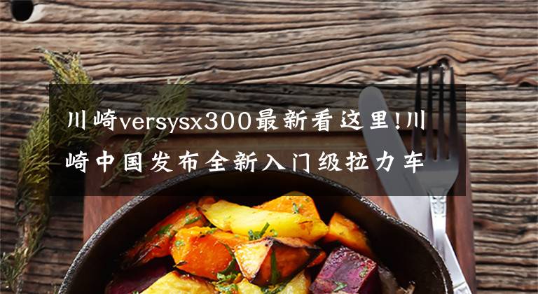 川崎versysx300最新看這里!川崎中國發(fā)布全新入門級拉力車Versys-X300售價：47500元起