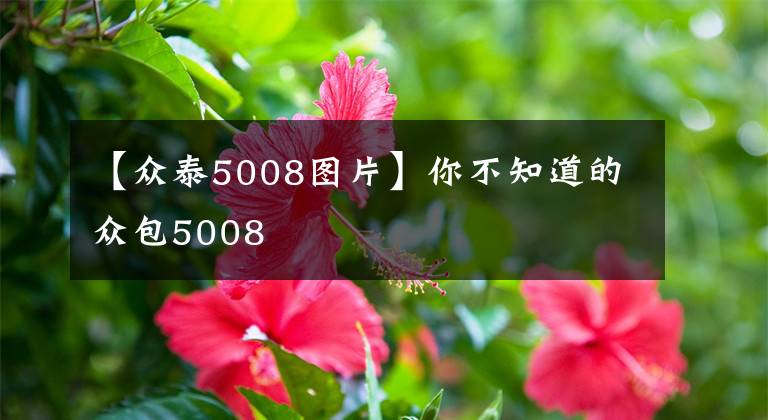 【眾泰5008圖片】你不知道的眾包5008