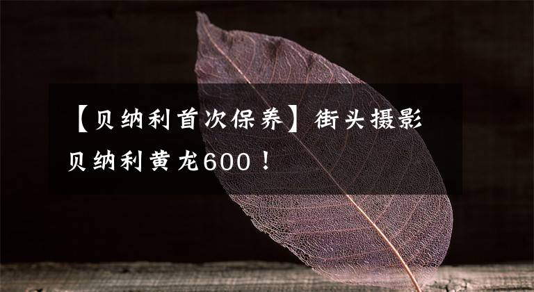 【貝納利首次保養(yǎng)】街頭攝影貝納利黃龍600！