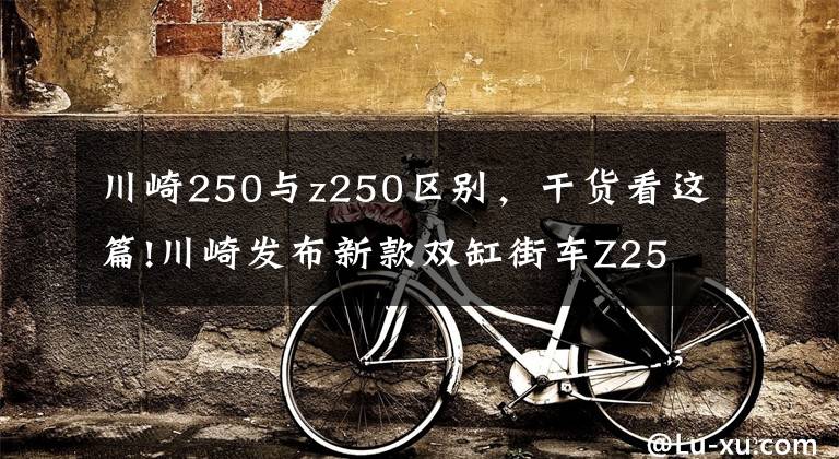 川崎250與z250區(qū)別，干貨看這篇!川崎發(fā)布新款雙缸街車Z250，外觀跟Z400一模一樣