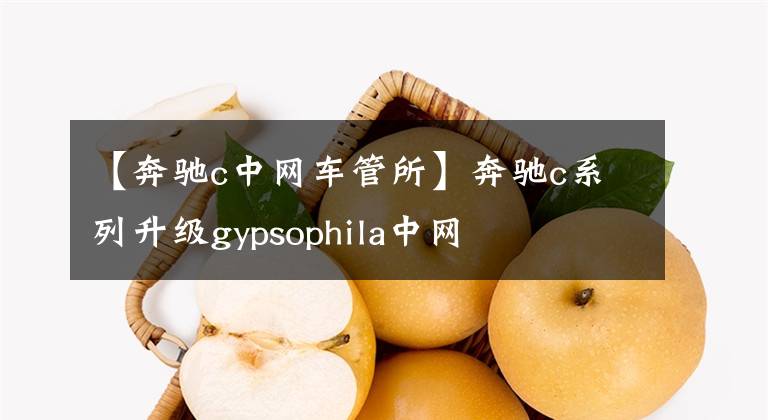 【奔馳c中網(wǎng)車管所】奔馳c系列升級gypsophila中網(wǎng)