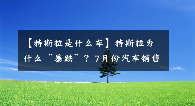 【特斯拉是什么車】特斯拉為什么“暴跌”？7月份汽車銷售成績單查出了什么？