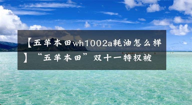 【五羊本田wh1002a耗油怎么樣】“五羊本田”雙十一特權(quán)被提前剝奪了