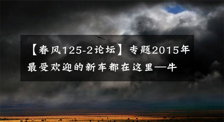 【春風125-2論壇】專題2015年最受歡迎的新車都在這里—牛摩網(wǎng)3000萬用戶的心聲