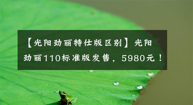 【光陽勁麗特仕版區(qū)別】光陽勁麗110標(biāo)準(zhǔn)版發(fā)售，5980元！