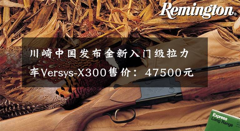 川崎中國發(fā)布全新入門級拉力車Versys-X300售價(jià)：47500元起