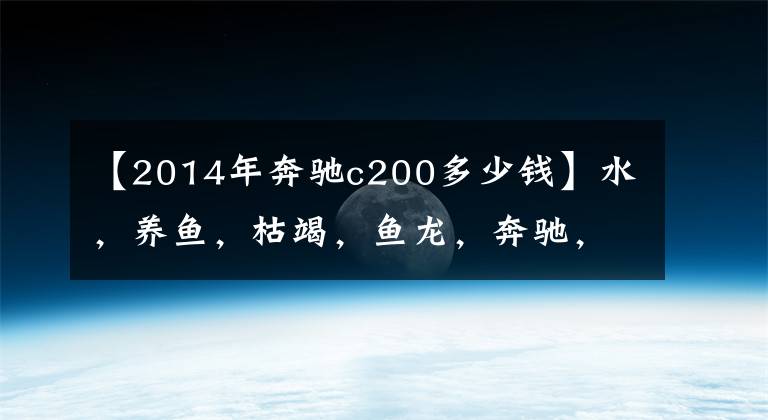 【2014年奔馳c200多少錢】水，養(yǎng)魚，枯竭，魚龍，奔馳，新的C級售價。