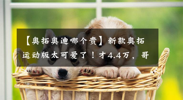 【奧拓奧迪哪個貴】新款奧拓運動版太可愛了！才4.4萬，哥哥奧迪很為它驕傲！